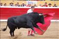 Jose Antonio Pinto (129)